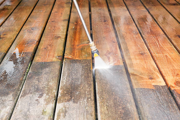 Animal Enclosure Cleaning in Ansonia, OH